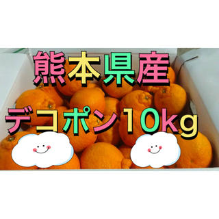 熊本県産デコポン10kg(フルーツ)