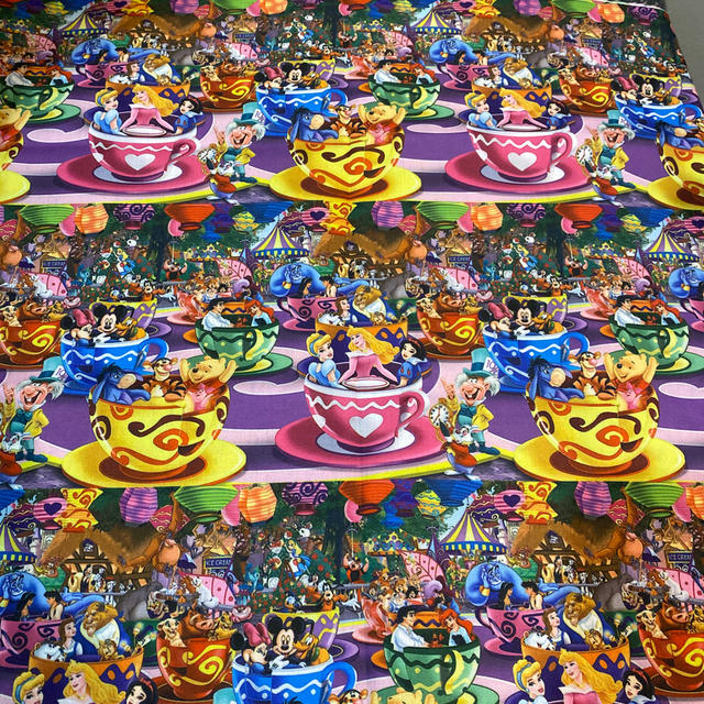 Disney(ディズニー)のディズニー　プリンセス　キャラクター　ハギレ ハンドメイドの素材/材料(生地/糸)の商品写真