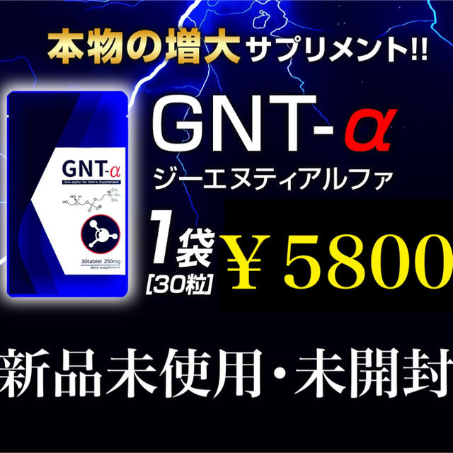 GNT-α １袋