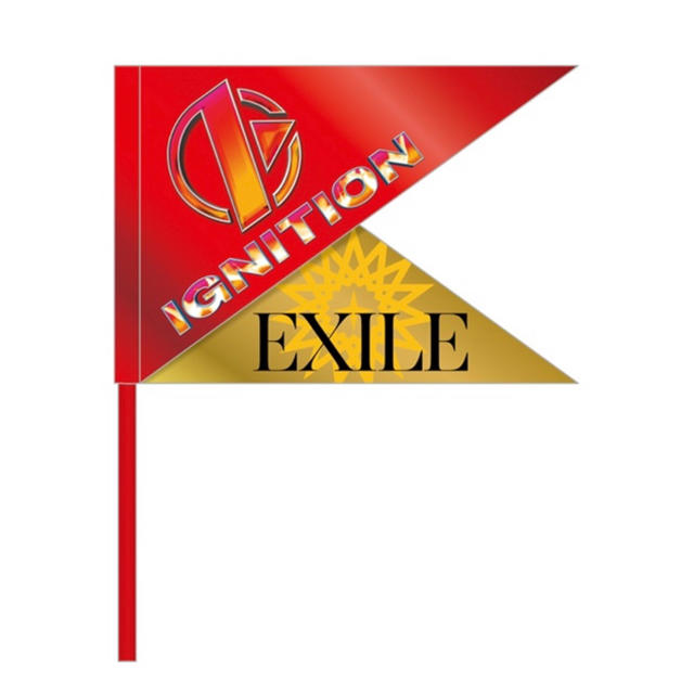 EXILE(エグザイル)のEXILE フラッグ エンタメ/ホビーのタレントグッズ(その他)の商品写真