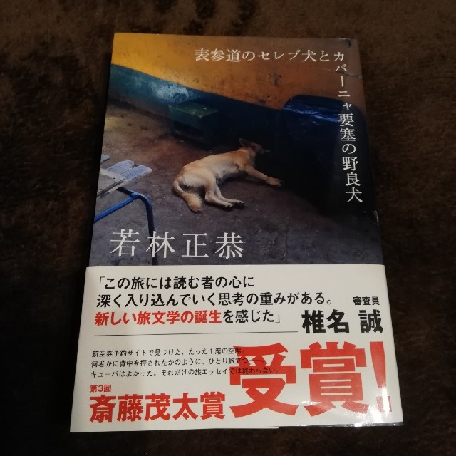 表参道のセレブ犬とカバーニャ要塞の野良犬 エンタメ/ホビーの本(アート/エンタメ)の商品写真