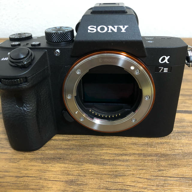 SONY(ソニー)のにんにんさま専用 スマホ/家電/カメラのカメラ(ミラーレス一眼)の商品写真