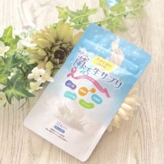 本日のみ値下げ★極み菌活生サプリ(ダイエット食品)