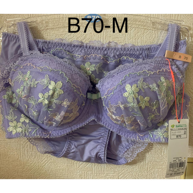 専用 トリンプ AMO`SSTYLEブラジャ—B70＆ショーツMセット2点 1