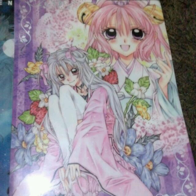 桜姫華伝 クリアファイル 種村有菜 その他のその他(その他)の商品写真