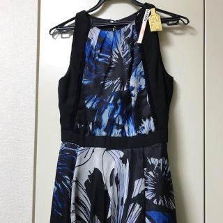 ダナキャランニューヨーク(DKNY)のCarmen Marc Valvo マキシドレス(ロングドレス)