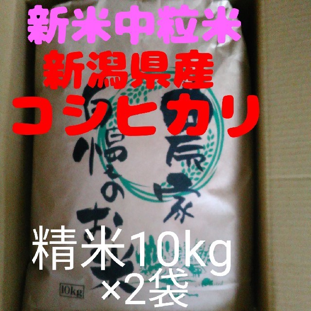 【即購入OK】新潟県長岡産新米コシヒカリ中粒米10キロ精米×2袋同梱セット