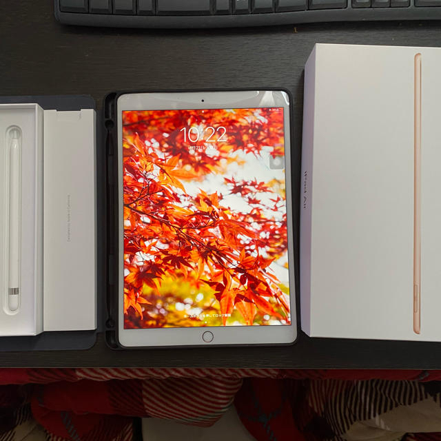 上等な iPad pencil第一世代 Apple Air3 タブレット - sanmartinbakery.us