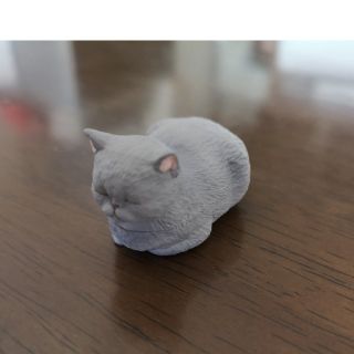 タカラトミー(Takara Tomy)の猫ガチャ《香箱座りの猫の小箱》エキゾチックショートヘア　グレー(キャラクターグッズ)