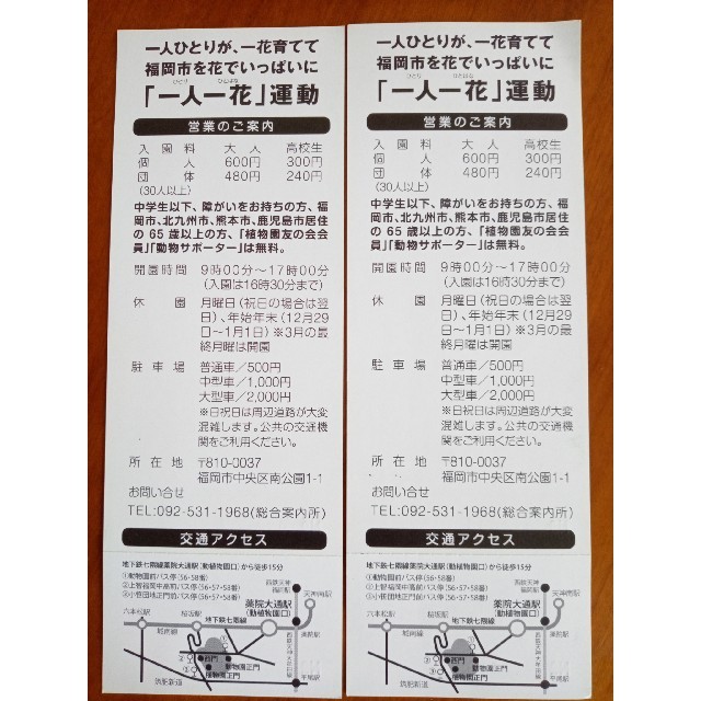 福岡市　動植物園　優待券２枚 チケットの施設利用券(動物園)の商品写真