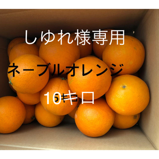 ネーブルオレンジ  10キロ　家庭用　わけあり(フルーツ)