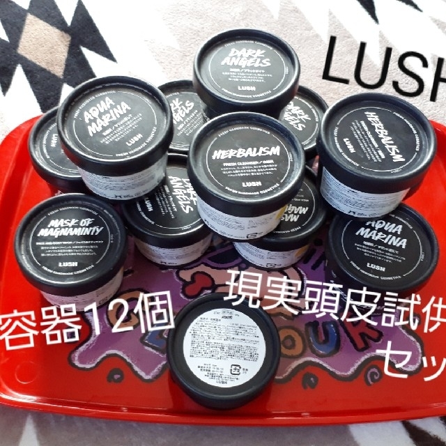 LUSH(ラッシュ)のLUSH 空容器　現実頭皮セット コスメ/美容のヘアケア/スタイリング(スカルプケア)の商品写真