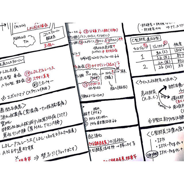 薬剤師国家試験対策【治療】付箋ノート ゴロも少し エンタメ/ホビーの本(語学/参考書)の商品写真