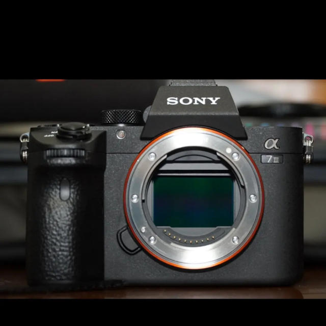 SONY(ソニー)のSONY α7iii  スマホ/家電/カメラのカメラ(ミラーレス一眼)の商品写真
