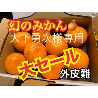 大下勇次様専用　幻の河内みかん 6kg  ☆完熟無農薬ミカン☆ 農家直送(フルーツ)