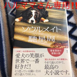 ソウルメイト = soul mate(文学/小説)