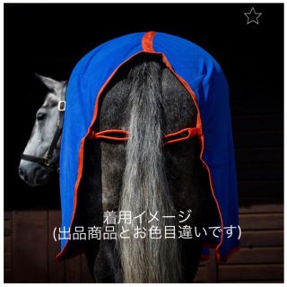 DerbyHouse ポニーサイズ馬着コットンラグ４'６の通販 by cha 's