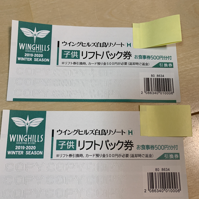 ウィングヒルズ　白鳥　リゾート　リフト券 チケットの施設利用券(スキー場)の商品写真