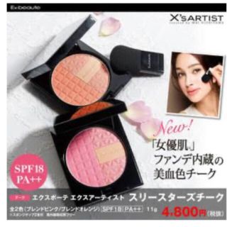 エクスボーテ(Ex:beaute)の《未使用》エクスボーテ　チーク(チーク)