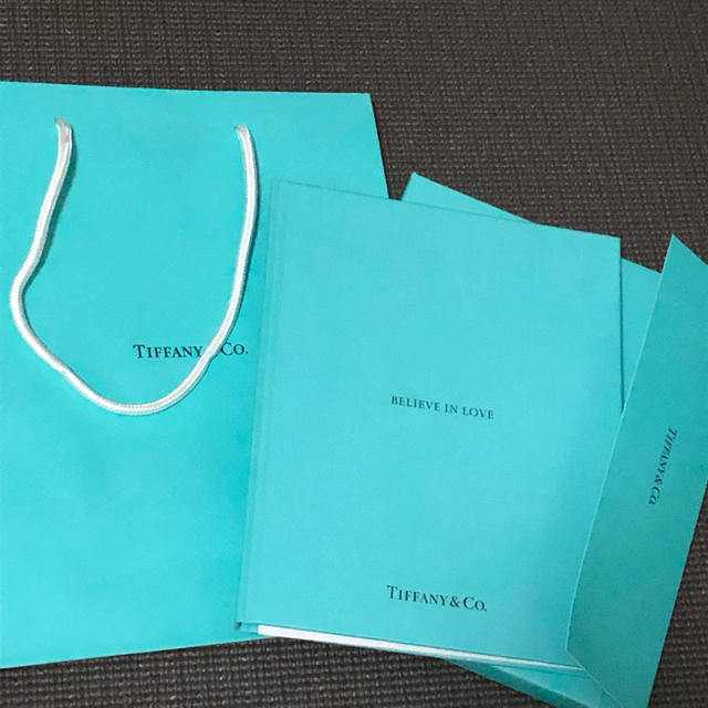 Tiffany & Co.(ティファニー)のティファニー 袋 カタログ レディースのバッグ(ショップ袋)の商品写真