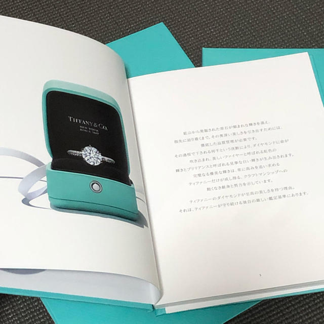 Tiffany & Co.(ティファニー)のティファニー 袋 カタログ レディースのバッグ(ショップ袋)の商品写真