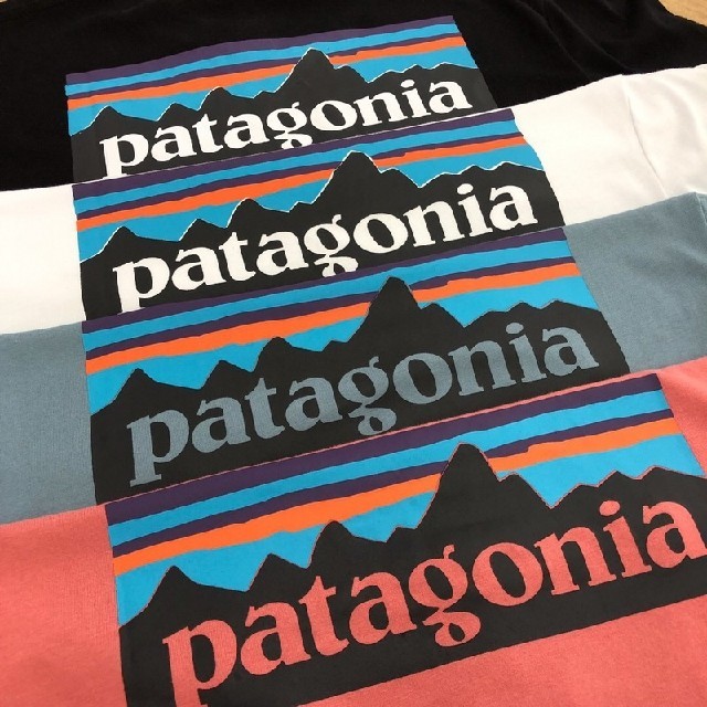 patagonia(パタゴニア)のちえゆー様専用　即日発送　patagonia　ロンT  ブラック
　XLサイズ
 メンズのトップス(Tシャツ/カットソー(七分/長袖))の商品写真