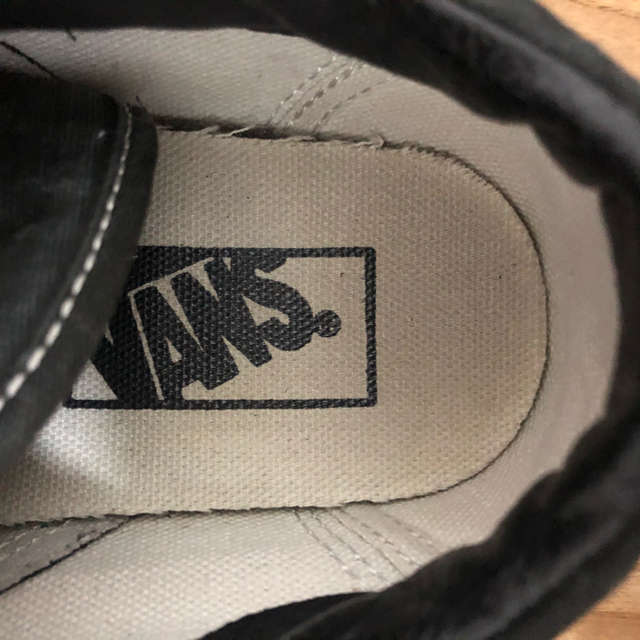 VANS(ヴァンズ)のVANS スニーカー レディースの靴/シューズ(スニーカー)の商品写真