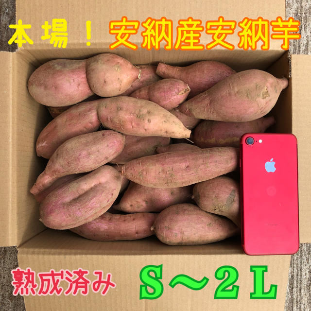 本場！熟成済み安納芋　S〜LL  ５kg 食品/飲料/酒の食品(野菜)の商品写真