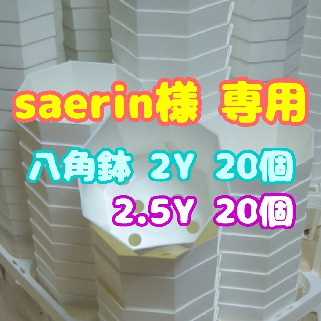 【saerin様 専用】カネヤ 八角鉢【2Y】【2.5Y】各20個  多肉植物 ハンドメイドのフラワー/ガーデン(プランター)の商品写真