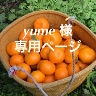 yume 様　専用ページ(フルーツ)