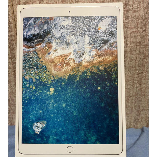 iPad Pro 10.5インチ Wi-Fi+Cellularモデル 64GB 【絶品】 22185円