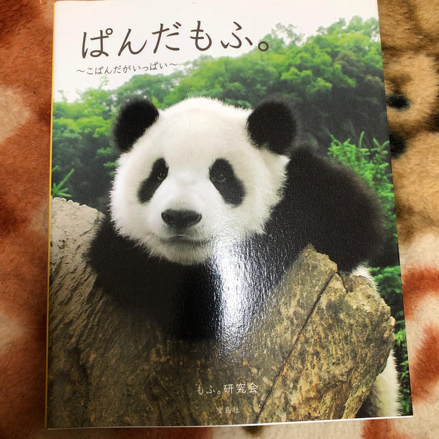 宝島社(タカラジマシャ)のぱんだもふ。みぃ様 エンタメ/ホビーの本(ノンフィクション/教養)の商品写真