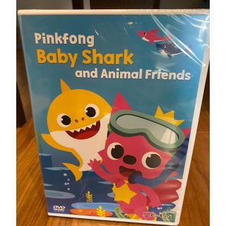 新品　Baby Shark ベイビーシャーク　DVD(知育玩具)