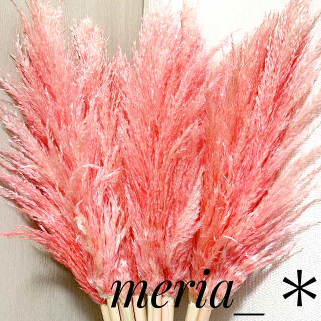 ボリュームたっぷり パンパスグラス ピンク B 結婚式 インテリア 花材の通販 By Meria ラクマ