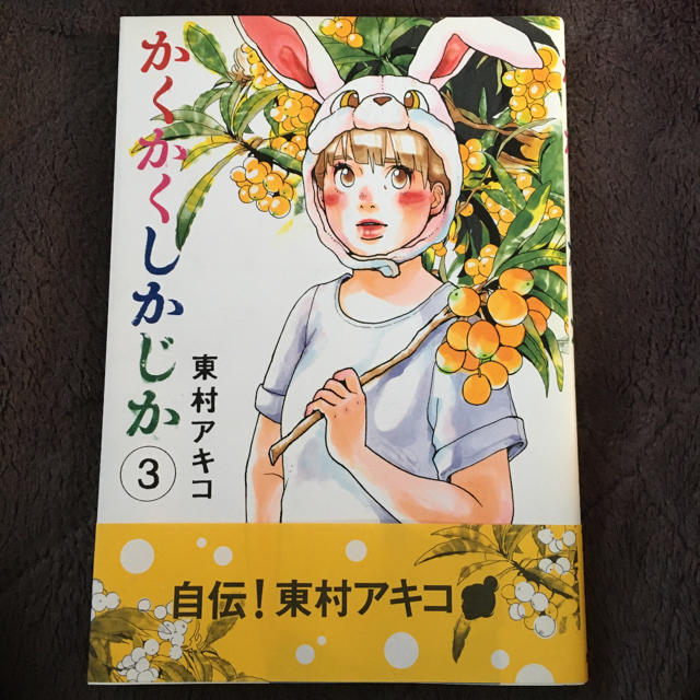 かくかくしかじか 5冊セット エンタメ/ホビーの漫画(その他)の商品写真