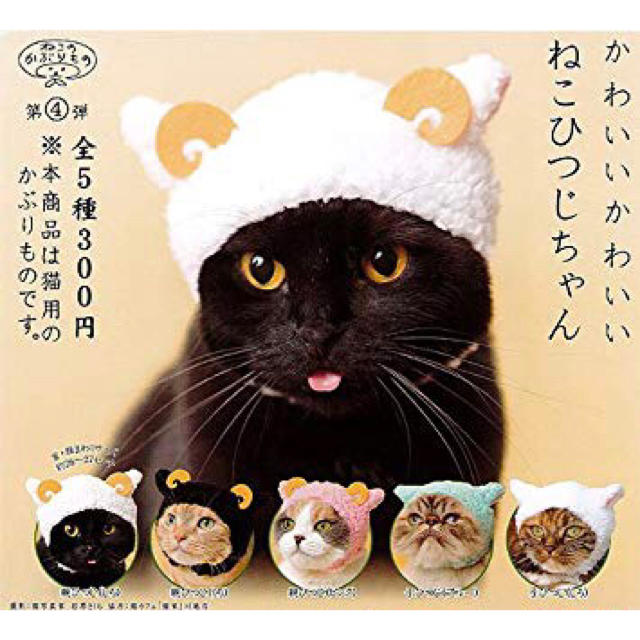 ねこのかぶりもの その他のペット用品(猫)の商品写真