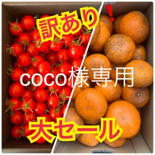 coco様専用　訳あり❗️みかん 2kg  キャロルセブン1kg(フルーツ)