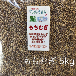 もちむぎ 5kg  (米/穀物)