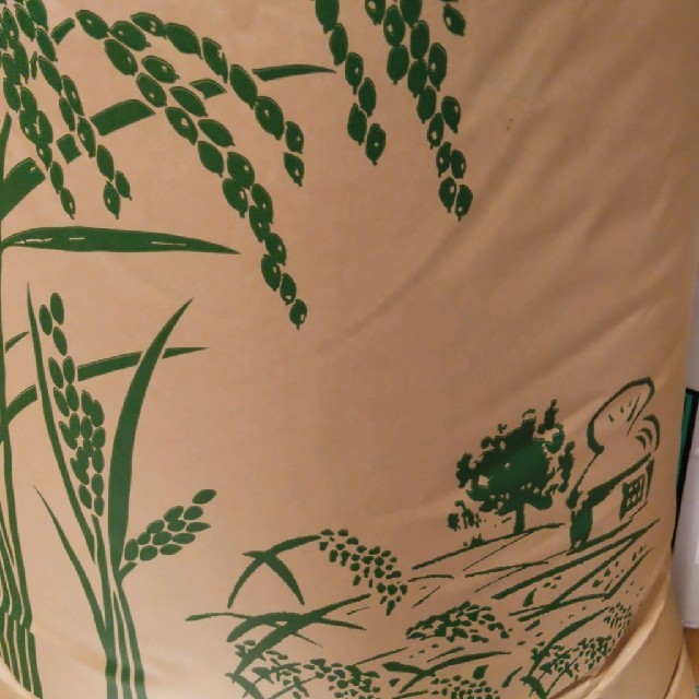25日限定栃木県一等米コシヒカリ30キロ玄米無農薬