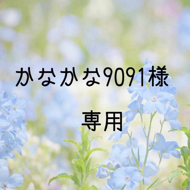 かなかな9091様専用 お米 令和元年 愛媛県産キヌヒカリ 白米 30㎏