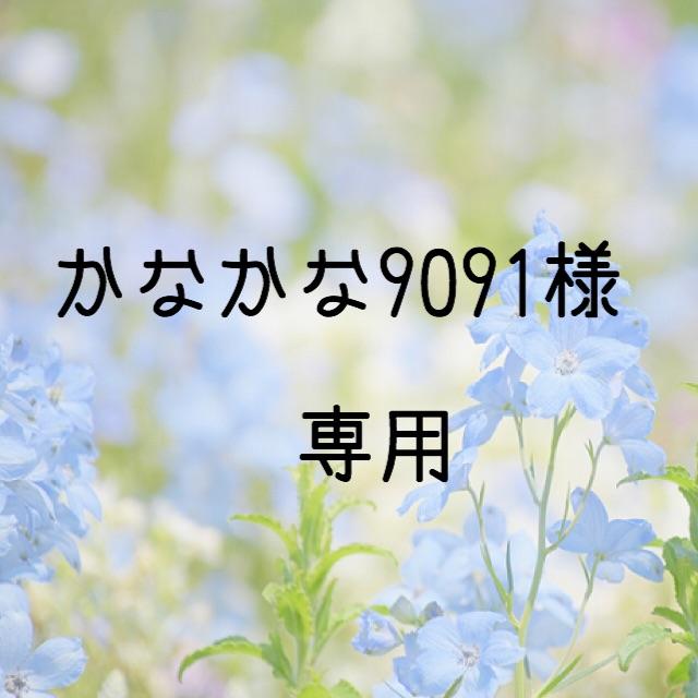 かなかな9091様専用　お米　令和元年　愛媛県産キヌヒカリ　白米　30㎏ 食品/飲料/酒の食品(米/穀物)の商品写真