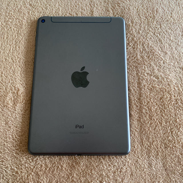 Apple - iPad mini 5  64GB Wi-Fi＋Cellular  箱アリ