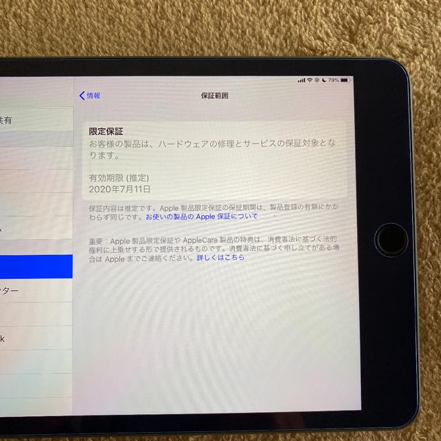 iPad mini 5  64GB Wi-Fi＋Cellular  箱アリ