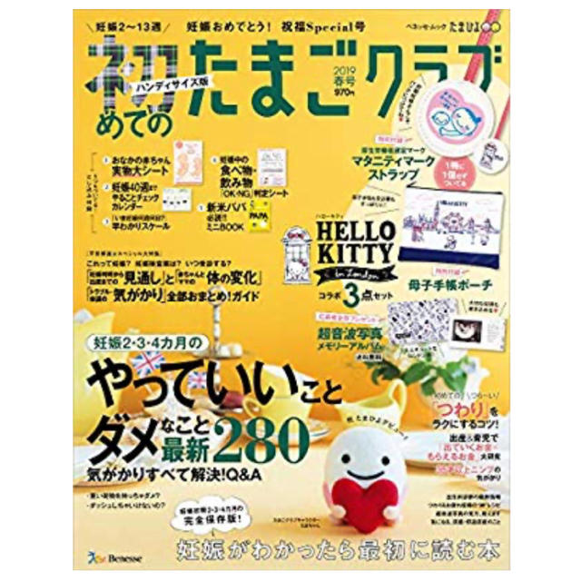 主婦と生活社(シュフトセイカツシャ)の初めてのたまごクラブ　ハンディサイズ エンタメ/ホビーの雑誌(結婚/出産/子育て)の商品写真