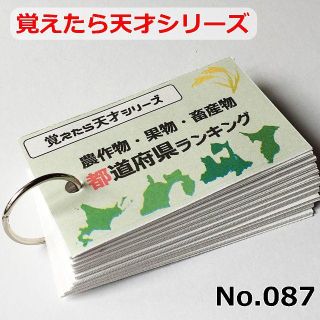 ミルキー様専用【087】覚えたら天才シリーズ　農作物・果物・畜産物　都道府県順位(知育玩具)