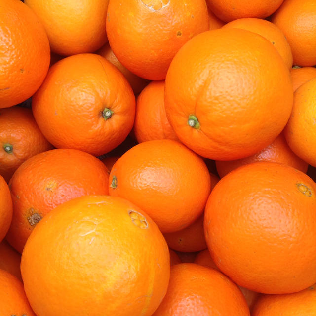 ネーブルオレンジ 10kg 食品/飲料/酒の食品(フルーツ)の商品写真