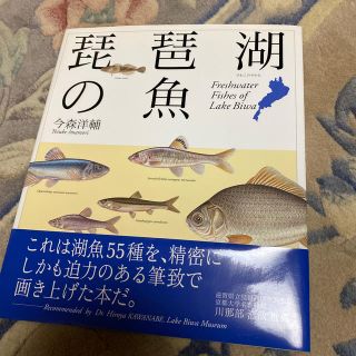 琵琶湖の魚（さかな）(絵本/児童書)