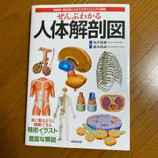 ぜんぶわかる人体解剖図 系統別・部位別にわかりやすくビジュアル解説(健康/医学)