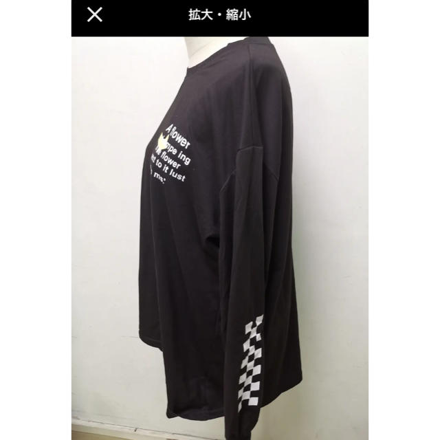 新品　袖ロゴ　英字　チェック柄　フラッグ　市松模様　矢印　ロングTシャツ　長袖 レディースのトップス(Tシャツ(長袖/七分))の商品写真