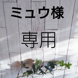 ミュウ様専用(その他)